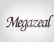MEGAZEAL Logo small02